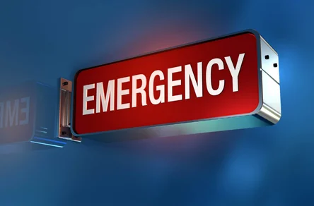 National Emergency Lines — Police / Fire / Ambulance logo